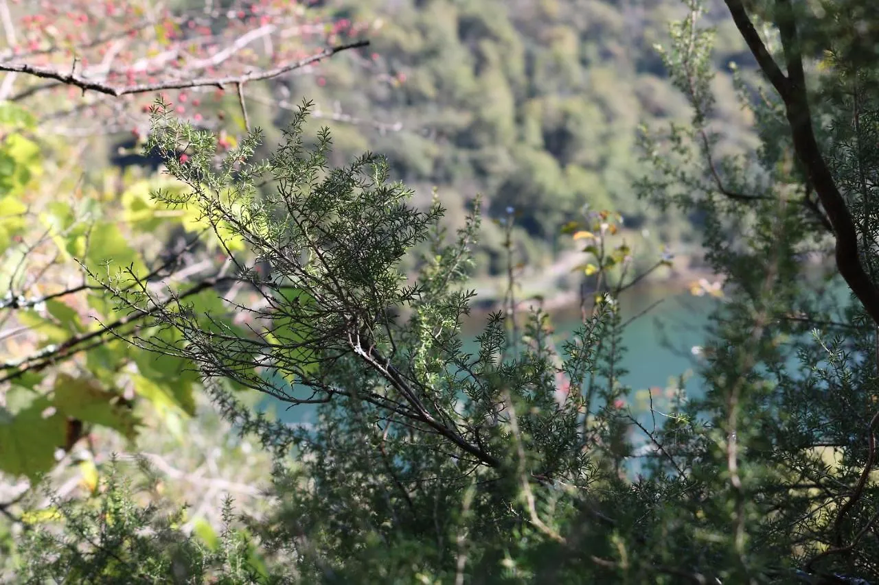 Soulie Du Tarn Avec Magnifique Vue Sur La Riviere Et La Vallee Requista