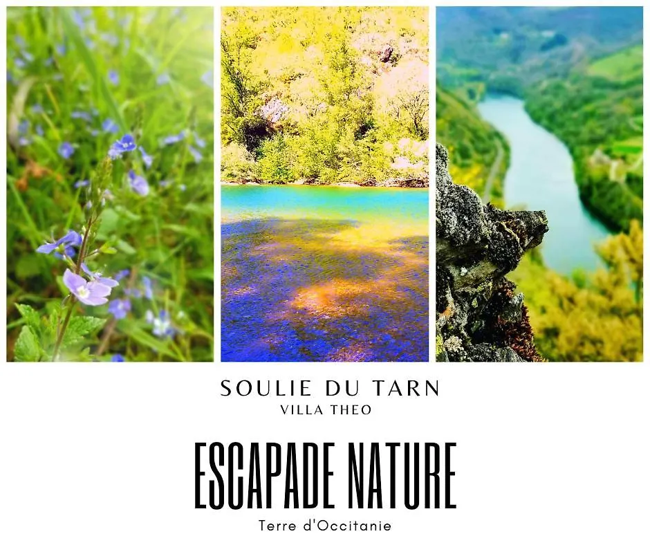 Soulie Du Tarn Avec Magnifique Vue Sur La Riviere Et La Vallee Requista 0*,