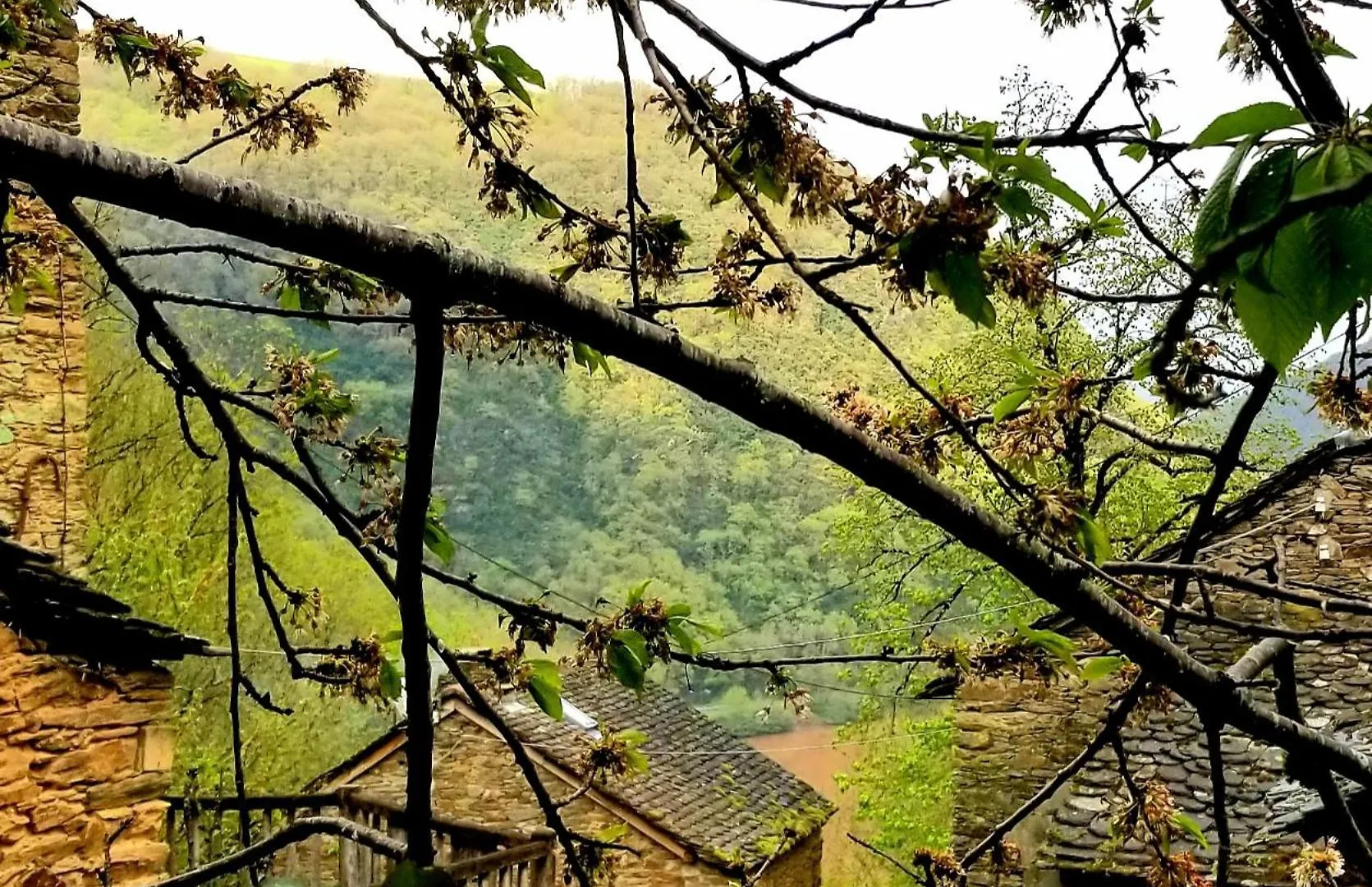 Holiday home Soulie Du Tarn Avec Magnifique Vue Sur La Riviere Et La Vallee Requista
