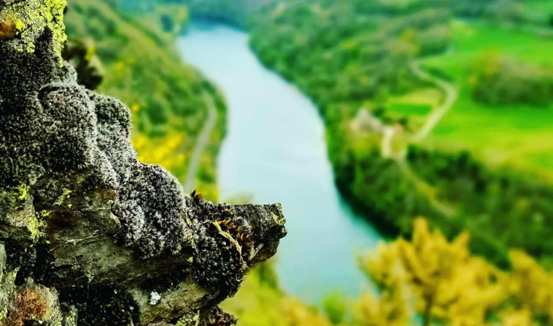 Soulie Du Tarn Avec Magnifique Vue Sur La Riviere Et La Vallee Requista 0*,  France